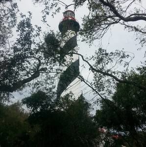 Meet your Posher, Algene